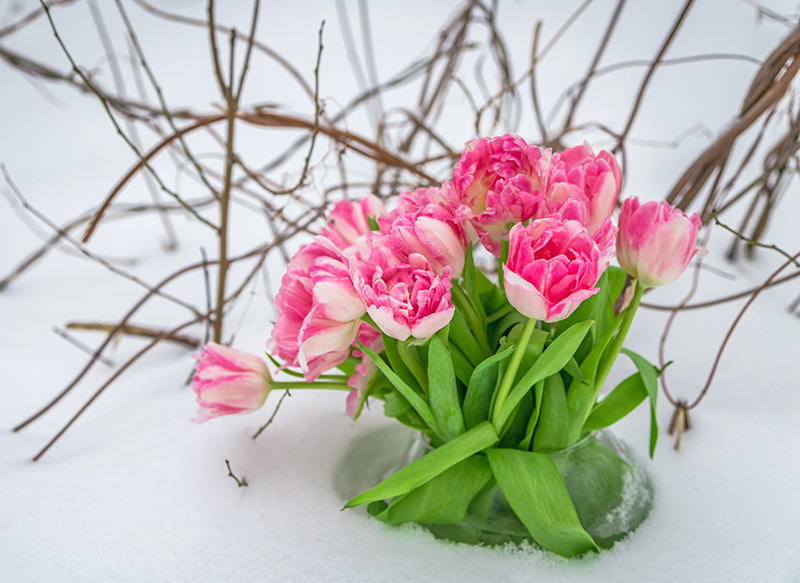 Florists 