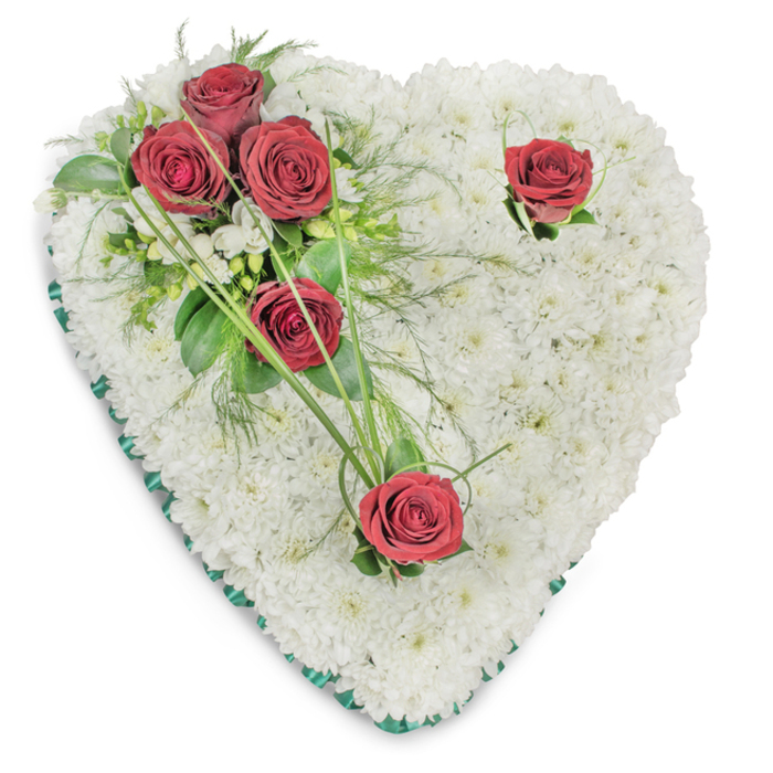 An elegant, heart-shaped sympathy wreath set against a pristine white background, its body entirely made up of tightly grouped white chrysanthemums that form a plush, textured surface reminiscent of a soft, luminous pillow. The chrysanthemums' dense clusters are interrupted by five deep red roses chosen for their rich, velvety petals: three arranged as an intimate cluster on the upper left quadrant, cradled by an assortment of lush greenery - broad lacquered leaves, feathery fern-like fronds and slender arching blades of bear grass that project subtle linear accents - while the remaining two roses are placed individually, one near the upper right curve and the other toward the bottom point, each accompanied by small, unobtrusive leaf sprigs. Small white filler blossoms are scattered within the foliage, adding tiny glints of texture against the larger white field. A thin emerald-green satin ribbon carefully trims the heart's perimeter, offering a refined boundary and a muted colour echo of the leaves. Overhead, diffuse lighting creates soft shadows that model the depth of the flowers and emphasize the roses' saturated crimson against the pure whites. As a classic memorial design, this piece conveys solemn respect and heartfelt remembrance; it is the type of sympathetic tribute often commissioned for funeral services and commemorations in South Woodford and nearby Woodford Green, where florists work to balance formality, tenderness and local, neighbourly care.