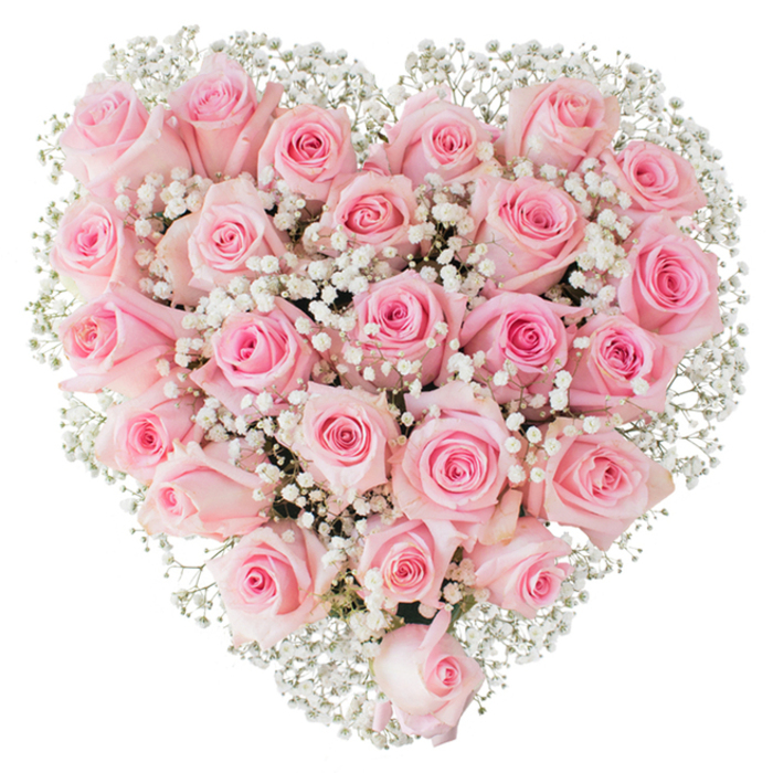 A heart-shaped bouquet composed of tightly clustered pale pink roses and cushions of white gypsophila dominates the image, photographed against an immaculate white background so every delicate detail stands clear. The roses are soft pastel pinks, some showing the subtlest gradient from near-white blush to a warm rose hue near their centres; their petals appear satiny and cool beneath the light, with curled edges and tiny inner spirals visible where blooms are partially open. Scattered among them, the baby's breath offers a contrasting, feathery texture - clusters of miniature white blossoms that act like tiny stars set into a pink sky, creating lacy highlights that both define the heart outline and prevent the composition from feeling heavy. Bright, even lighting accentuates the fresh, dewy look of the petals and casts gentle, natural shadows that sculpt the heart into a soft relief. This is an arrangement that reads as an intimate message: romantic yet tender, ideal for significant moments such as engagements, milestone anniversaries, or the offering of comfort at a memorial. From a florist's point of view, arranging the roses to create such a seamless heart requires patience and a steady hand, a practice familiar to makers who deliver across South Woodford and beyond, often crossing Epping Forest's fringe to bring comforts or celebrations to nearby homes. The mood is serene and heartfelt, a visual embrace rendered in blush and cloud-white that invites quiet reflection and affection.