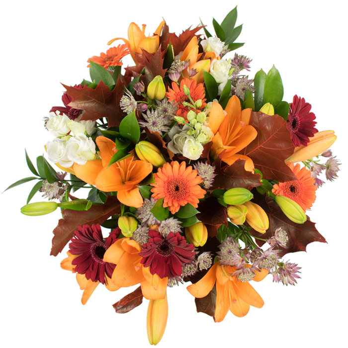 Viewed from an intimate, slightly elevated angle, this densely packed autumn bouquet reads like a small garden harvested at the height of fall. The arrangement is anchored by several large, vividly orange Asiatic lilies-each bloom wide and architectural, their petals forming graceful trumpets-and a smattering of tight lily buds that hint at unfolding drama. Bright orange Gerbera daisies and rich burgundy gerberas provide joyful punctuation, their perfectly formed ray petals circling dark centres and creating cheerful focal points. Soft, ivory lisianthus add layered, papery textures that calm the palette, while delicate Astrantia in muted purple and grey-lilac introduces a fine, starry texture that contrasts with the fuller blooms. Interspersed throughout are broad, lobed leaves in warm reddish-brown tones, artfully echoing fallen oak leaves and reinforcing the seasonality, while lively green foliage and slender stems give the bouquet structure and visual breathing room. The composition is photographed on pure white, so every velvety petal edge and veined leaf reads clearly; highlights pick out the glossy sheen on some leaves while shadows deepen the burgundy tones for a rich, three-dimensional feel. The scent would be softly floral with an earthy base, the arrangement offering both visual warmth and tactile richness. Crafted with care, this bouquet would suit a Thanksgiving table, a cosy autumn wedding, or a thoughtful housewarming gift for friends around George Lane or families gathering near South Woodford tube, bringing a curated piece of the season's splendour into the home. Flower Delivery South Woodford often recommends this style to clients seeking that harvest-time generosity of colour and texture.