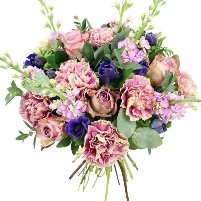 A richly detailed hand-tied bouquet is showcased against a smooth white backdrop, allowing its colours and forms to take centre stage. At its core are several full, open garden roses in gentle tones of blush, dusty rose, and muted mauve, each bloom composed of tightly layered petals that gradually soften and curl outward, creating a classic romantic focus. Surrounding these are lush, frilled carnations whose petals blush from creamy nude at the base to soft pink and deeper rose at the edges, adding a sense of movement and tactile softness, like the folds of a silk dress. Contrasting with these tender hues are saturated indigo and royal blue flowers, some appearing as sleek, closed buds reminiscent of tulips, others fully open as anemones with velvety petals and dark, dramatic centres. Slender, upright stems of lilac and pale lavender stock punctuate the arrangement, their clusters of tiny blossoms lending an airy, vertical rhythm. The flowers are supported by generous greenery, including glossy dark leaves and distinctive, rounded eucalyptus in a silvery green tone, which add both structure and a suggestion of cool, aromatic freshness. The stems are left long and visible at the base, carefully tied to maintain a balanced, domed shape, as you might find in a bespoke bouquet crafted for a South Woodford townhouse near Nightingale Lane. The overall impression is luxurious yet gentle, ideal for wedding anniversaries, milestone birthdays, or simply bringing the mood of a tranquil spring afternoon indoors, with delivery easily reaching homes and offices throughout South Woodford and the surrounding E18 neighbourhoods.