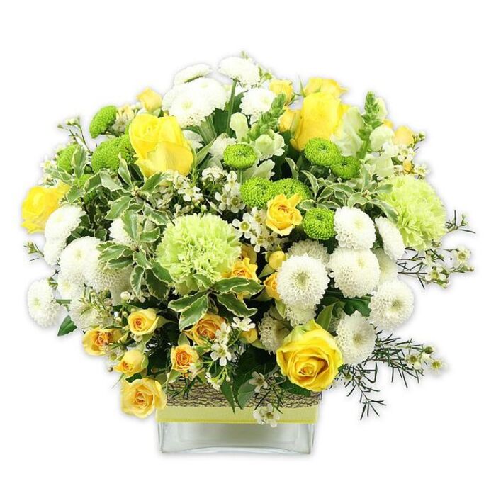 This image shows a meticulously crafted floral arrangement that radiates cheerfulness, set against a crisp white background that emphasises every shade of yellow, green, and white. The flowers are gathered into a substantial, dome-shaped bouquet that sits low and full in a rectangular clear glass vase. Prominent in the design are classic yellow roses, some fully opened to reveal their many soft, spiralling petals, others still in tighter bud form, which suggest fresh beginnings and ongoing growth. They mingle gracefully with clusters of smaller yellow spray roses, whose multiple tiny blooms create intricate pockets of colour and texture. Around these golden centres, white pompom chrysanthemums form round, cushioned heads, their dense petals giving a soft, almost plush look. Bright lime green button chrysanthemums dot the arrangement, each one a compact, globe-shaped burst of vivid colour, while larger, airy pale green blooms, similar to frilly carnations or speciality green mums, add extra depth and a gently ruffled texture. The bouquet is laced with lush greenery: broad leaves with creamy, variegated edges, darker glossy foliage, and delicate sprigs tipped with fine, star-like white flowers, which lend a light, sparkling quality. The stems are neatly aligned and visible through the base of the vase, while a band of rustic, woven material encircles the middle, topped with a coordinating yellow or lime ribbon tied smoothly around it, bringing an earthy, hand-finished detail. The lighting is even and bright, ensuring there are no harsh shadows, just a feeling of clarity and freshness. This is the kind of joyful, carefully balanced arrangement a South Woodford florist might send out for same-day delivery along Hermon Hill or near Eagle Pond, ideal for congratulating a new homeowner, celebrating a birthday, or bringing a gentle sense of optimism into a quiet living room.