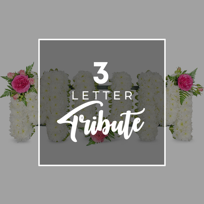 This contemplative image shows a series of standing floral letters arranged against a smooth, light grey backdrop, evoking the quiet atmosphere of a South Woodford chapel on a still afternoon. At the centre, three large letters spell out MOM, each one shaped from a tightly woven bed of small white chrysanthemums. The flowers are packed closely together so that no gaps show, forming clean, well-defined letter forms with a velvety, uniform texture. On the first M, the upper left corner is softened by a cluster of deep fuchsia-pink roses, surrounded by smaller spray roses in gentler pink tones and fine, tapering fern leaves that fan outward, bringing movement and a natural rhythm to the structure. The middle O is a complete wreath of the same white blooms, simply accented with one delicate pink rose placed at its lower curve, like a modest signature. The second M echoes the first, its upper right edge adorned with a mirror-image grouping of fuchsia rose, pale buds, and airy green foliage, giving the arrangement a harmonious balance that would feel fitting at a local church near George Lane or at a service before a burial in the wider East London area. Superimposed over the central section is a bright white rectangular frame. Inside, white lettering spells out 3 LETTER in neat uppercase type, while below, Tribute appears in a more flowing script, describing the product as a three-letter memorial design. At the left and right margins, you can glimpse portions of other chrysanthemum letters, similarly trimmed with pink roses and fresh greenery, suggesting a wider collection of bespoke funeral letter tributes available for families throughout South Woodford.