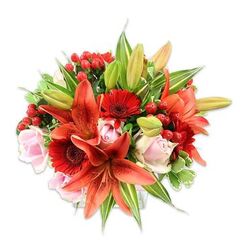 This richly coloured bouquet, pictured on a clean white background, brings together the theatrical presence of orange-red Asiatic lilies with the approachable cheer of deep red Gerbera daisies and the soft romance of blush-pink roses. The lilies dominate with broad, speckled petals and prominent stamens, some fully open and others as graceful buds promising more bloom, while the gerberas contribute bold, circular forms that draw the eye in repeated beats. The roses, in varying stages from tight buds to unfurled blossoms, soften the overall palette and add a velvety intimacy. Bright clusters of hypericum berries - small, glossy, and vividly red - are tucked throughout, their rounded shapes adding contrast against the smoother flower faces. The arrangement is built into a full, rounded silhouette by generous greenery: broad, solid-green leaves and a few variegated sprigs with pale streaks that catch the light and add depth. The studio lighting on white enhances each hue so the fiery oranges, ruby reds and tender pinks sing together while the greens recede and support them. Texture is a key element - imagine the papery lilies, the silky roses, the waxy berries and the crisp foliage - and the scent is hinted as a warm, sweet-spicy chorus. As a neighbourhood florist might suggest, this is the sort of bouquet chosen for joyful occasions across South Woodford and the nearby Wanstead streets, a confident and uplifting composition that reads as both celebratory and carefully considered.