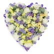 A densely packed, heart-shaped floral tribute photographed against a clean white studio backdrop, made to read at a distance and to be touched in memory. At the centre, clusters of tightly furled cream and pale yellow roses form a soft, sumptuous core - some blooms showing just a whisper of light green at the base of their petals - their velvety texture creating a sense of quiet intimacy. Surrounding and lifting those roses are cloud-like white carnations, ruffled and generous, adding volume and the comforting familiarity of a traditional sympathy design. Scattered through the massed petals are sprigs of pale lavender statice, its tiny papery blooms giving an airy, almost musical punctuation, and cheerful small purple aster-like flowers with bright yellow centres that catch the eye like glints of sunlight. Interleaved throughout are rounded, blue-green eucalyptus leaves, their silvery sheen and firm rounded edges providing cool contrast, structural rhythm and an implied clean fragrance that calms the senses. A rich purple satin ribbon, looped and folded with precision, traces the entire perimeter of the heart, giving the arrangement a dignified frame and a finished, ceremonial feel. The overall palette of cream, soft yellow, white and lavenders, balanced against green foliage and the deep ribbon edge, reads as peaceful, reverent and tender - ideal for a funeral service, graveside or wake where understated beauty is wanted. As a florist who often works for families across South Woodford and near Epping Forest, I picture this piece set before a simple service, its gentle colours offering comfort and a quiet celebration of a life remembered.