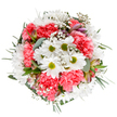 This bouquet reads like a celebration of spring's soft radiance captured from above on a pristine white surface. At the centre, cheerful white daisies fan their crisp petals from lime-green discs, forming bright focal points that catch the eye as the arrangement radiates outward in a neat, circular silhouette. Around them, plush coral-pink carnations build warm, ruffled layers that lend weight and tactile richness: each bloom feels velvety and abundant against the tiny, cloud-like clusters of white baby's breath that float through the composition like a scatter of stars. Slender, blushing alstroemeria buds with faint streaks of purple and deep pink peek shyly from the foliage, promising a second act of colour as they open. Varied greenery - soft silvery eucalyptus leaves and deeper green sprigs - provides a matte, calming backdrop and structural frame, the leaves' texture contrasting the petals' smoothness. The lighting is soft and even, a gentle daylight that emphasises colour purity and the bouquet's airy fullness without harsh shadows. The scent is suggested rather than shown: a fresh, green top note from the foliage with a subtle floral sweetness beneath. Arranged with an eye for balance, the bouquet feels both celebratory and intimate, well suited to mark birthdays, small anniversaries, or as a thoughtful gesture to brighten a kitchen table after a stroll down George Lane or a picnic near Roding Valley Park. As a local florist's composition, it evokes quiet optimism and seasonal charm - a tactile promise of comfort and cheer for recipients across South Woodford and neighbouring streets.