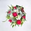 From a bird's-eye view, a full, rounded bouquet spills across a pure white background, every colour and texture sharply defined as if laid out on a studio table in South Woodford. At the heart of the arrangement, large hot pink carnations unfurl in intricate ruffles, their many petals creating a plush, almost velvety dome of colour. Nestled between them are deep pink and fuchsia roses, some fully open with classic spiral centres, others still in tight buds that promise to bloom in the days ahead. Clusters of small white spray chrysanthemums, each flower like a tiny daisy, soften the bolder tones, while ethereal sprays of white baby's breath weave through the design like clouds of fine mist. Here and there, slender white buds, reminiscent of alstroemeria or lily blooms, stretch upwards, lending a graceful, almost formal note. Around and beneath the flowers, layers of greenery provide structure and depth: rounded, silvery eucalyptus leaves with their cool, muted sheen; bright, elongated green blades that arc lightly; and broad, darker leaves, likely folded aspidistra, carefully wrapped into a collar that frames the bouquet. The clean lighting makes every hue pop, suggesting the kind of fresh, hand-crafted design you might receive as a same-day delivery along George Lane or near Eagle Pond. The mood is joyful yet polished, a lively mix of romance and celebration that feels perfect for sending congratulations, marking a birthday, or simply lifting a loved one's spirits on a grey East London afternoon, capturing the sense of care and craftsmanship a local florist brings to each stem.