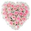 A perfectly formed heart of flowers fills the frame: dozens of soft, pastel pink roses packed tightly together so their velvety blooms read as one sumptuous surface, each rose varying subtly from a whisper of blush at the outer petals to a warmer rose tone toward the centre. Interwoven among the roses are clouds of tiny white baby's breath, gypsophila like fine lace, their pinpoint blooms catching the light and lifting the composition with an airy, ethereal texture. The arrangement sits against a pristine white background and is lit with bright, even daylight that highlights the satin sheen of petals, the delicate spirals within each bud, and the gentle shadowing between blooms that gives the heart a soft, sculpted depth. Some roses remain tightly furled, others are partially open, revealing layered centers that invite touch; the scent is implied - a gentle, dewy rose perfume that seems cool and intimate. As a florist would tell you, the careful, symmetrical placement creates an emotional architecture: the heart shape reads at once as declaration and consolation, suited to anniversaries, proposals, quiet apologies, or tender remembrances. There is a calm, reverent quiet to the image - the kind of bouquet a neighbour might bring after a meaningful conversation on George Lane or leave at the South Woodford tube station to mark a small but important moment. The craftsmanship is precise yet soft, a design that pairs classic romantic symbolism with the modest, everyday warmth of our local community.